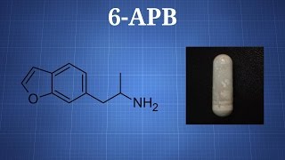 6apb What You Need To Know