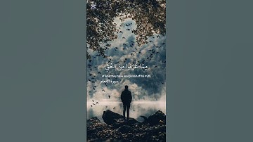 ماتيسر من سورة الأنعام للشيخ الشريم #تلاوة_خاشعة #قرآن #اكسبلور #دويتو #تلاوات #الشريم #راحة_نفسية