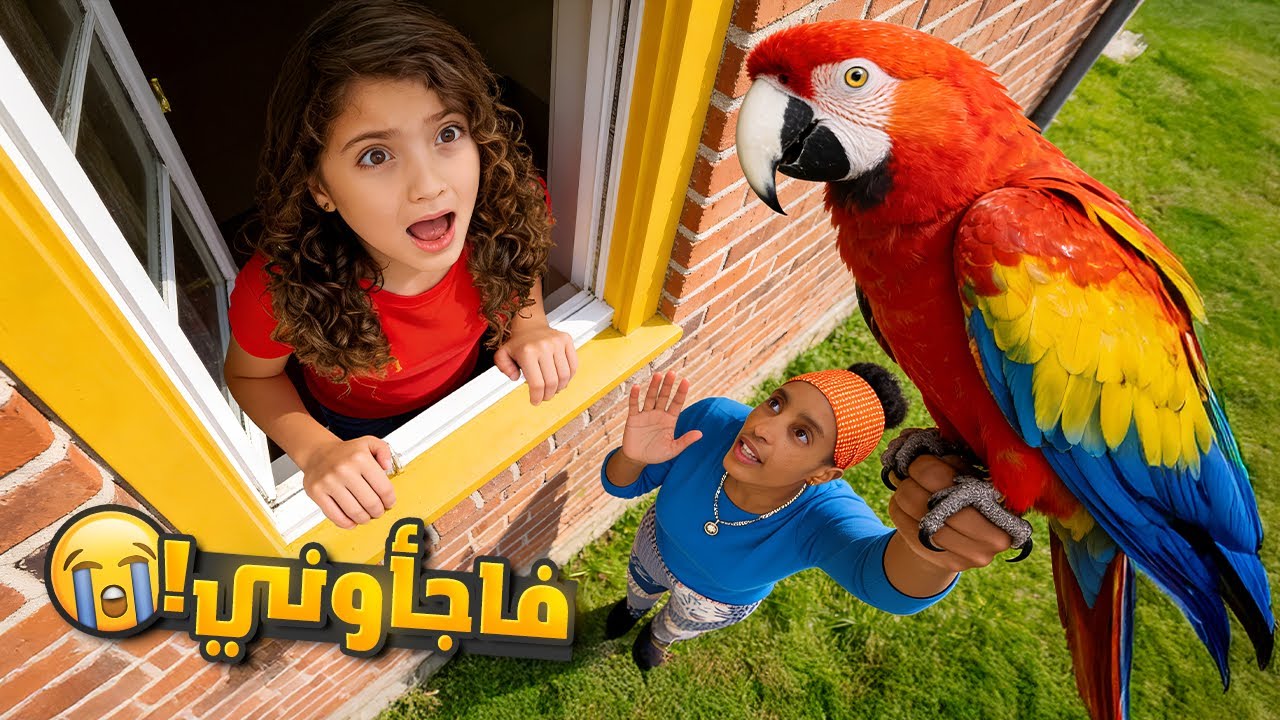 فاجأوني ببغاء | انهيارات بسبب سفر بابا 😭✈️