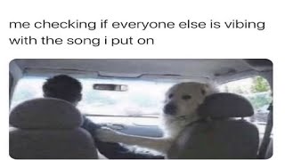 Offensive memes but if you laugh you lose 158