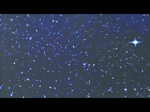 しあわせの一番星
