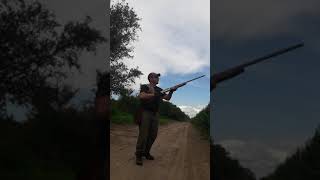 Tórtolas en Argentina 2 días