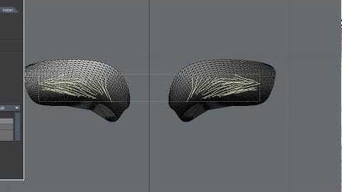 LightWave CA - Metalink Guides 1