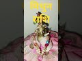 7 से 13 June 2026 साप्ताहिक राशिफल मिथुन Mithun gemini horoscope hindi @EkaanshAstro
