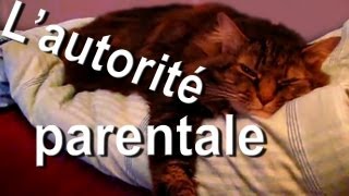 L'AUTORITÉ PARENTALE  PAROLE DE CHAT