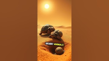 Why do some animals hibernate? #hibernate #hibernation