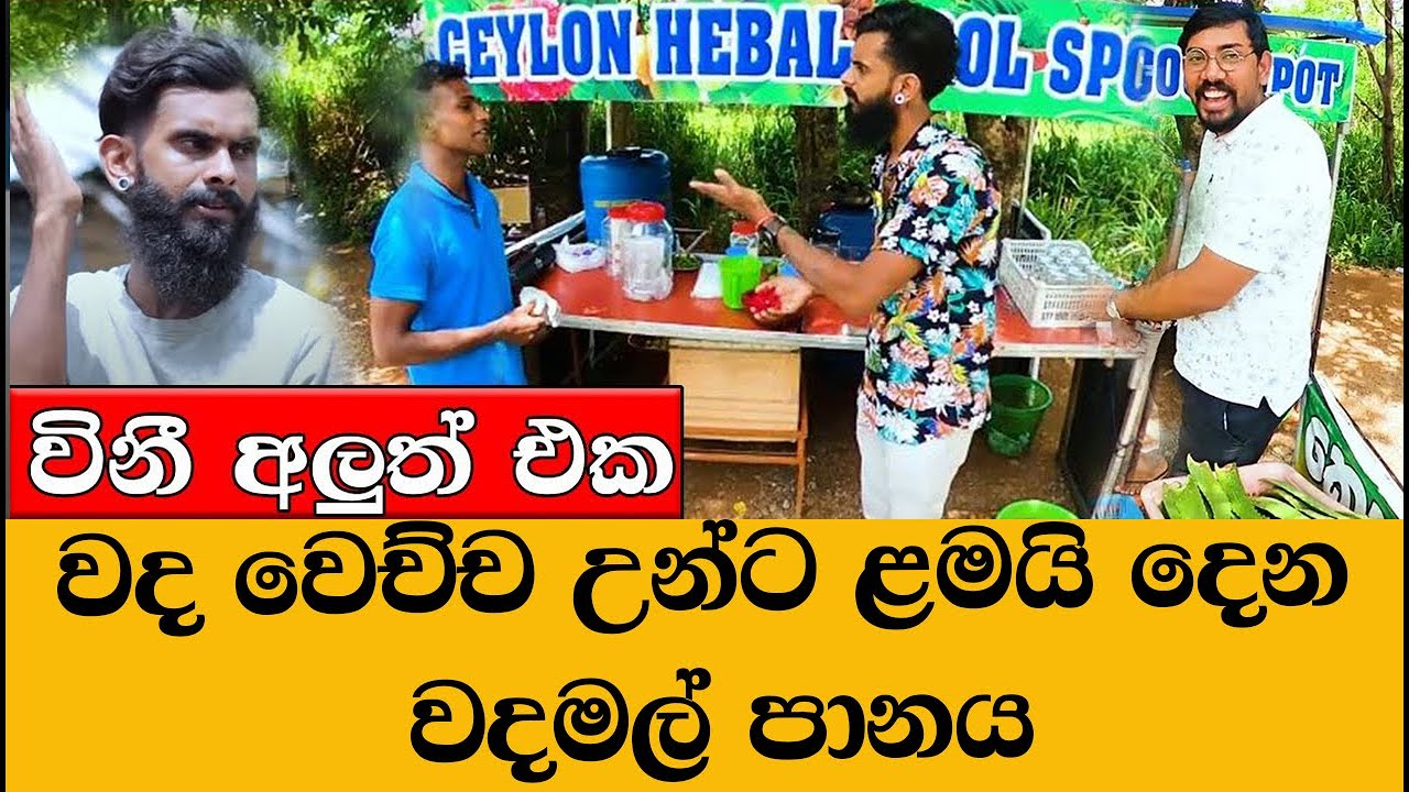 විනී අලුත් එක vini new