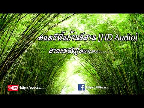 ลายแมลงภู่ตอมดอกออกลมพัดไผ่ 【HD Audio】
