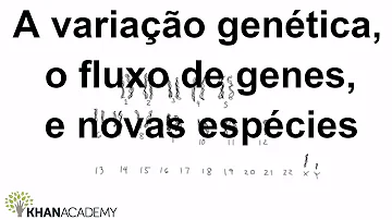 Como pode ocorrer a variabilidade genética em uma determinada população?