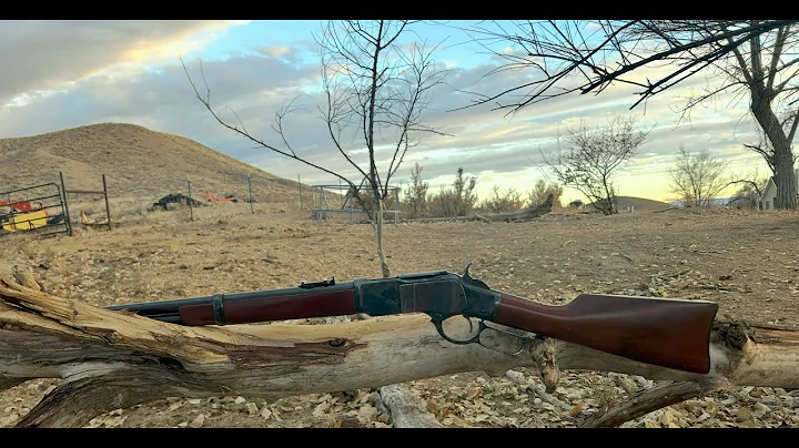 Taylors 1873 44 40 50 yard accuracy test