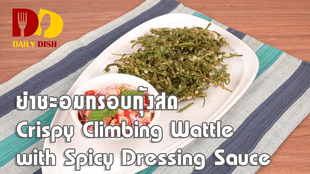 Crispy Climbing Wattle with Spicy Dressing Sauce | Thai Food | ยำชะอมกรอบกุ้งสด