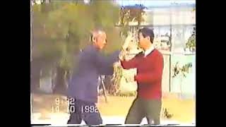 Student of Liu Wancang 刘晚苍. Wustyle, Wu Quanyou lineage