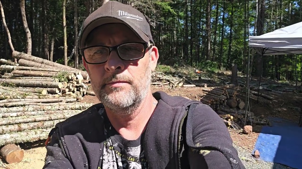 Clearing and packing trees for the cabin build