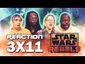 Star Wars: Rebels - 3x11  Visions and Voices - Group Reaction