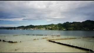 Kokas Urag Mutiara