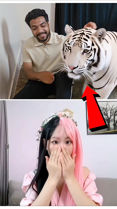 white tiger 😱