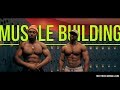 Building Muscle | For Beginners