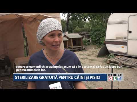 Video: Pyrantel Pamoate Pentru Câini și Pisici