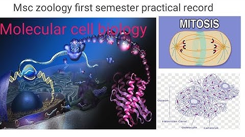 MSC Zoology first semester practical record [Molecular cell biology] .