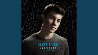 Shawn Mendes - Stitches (Vocals Only)