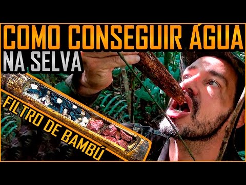 Vídeo: Como Obter água Na Floresta