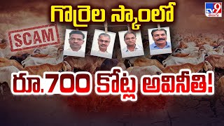 Telangana Sheep Scam: గొర్రెల స్కాంలో రూ.700 కోట్ల అవినీతి! -TV9