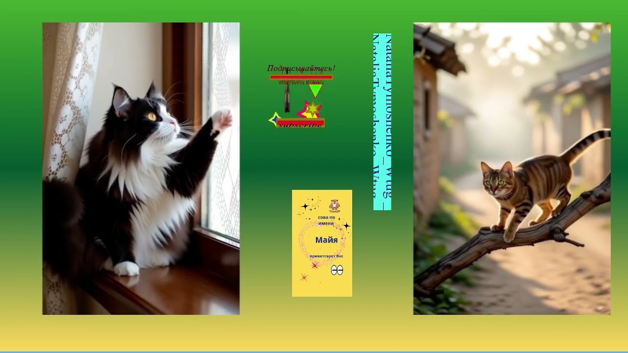 мелодии весны и котики для счастья