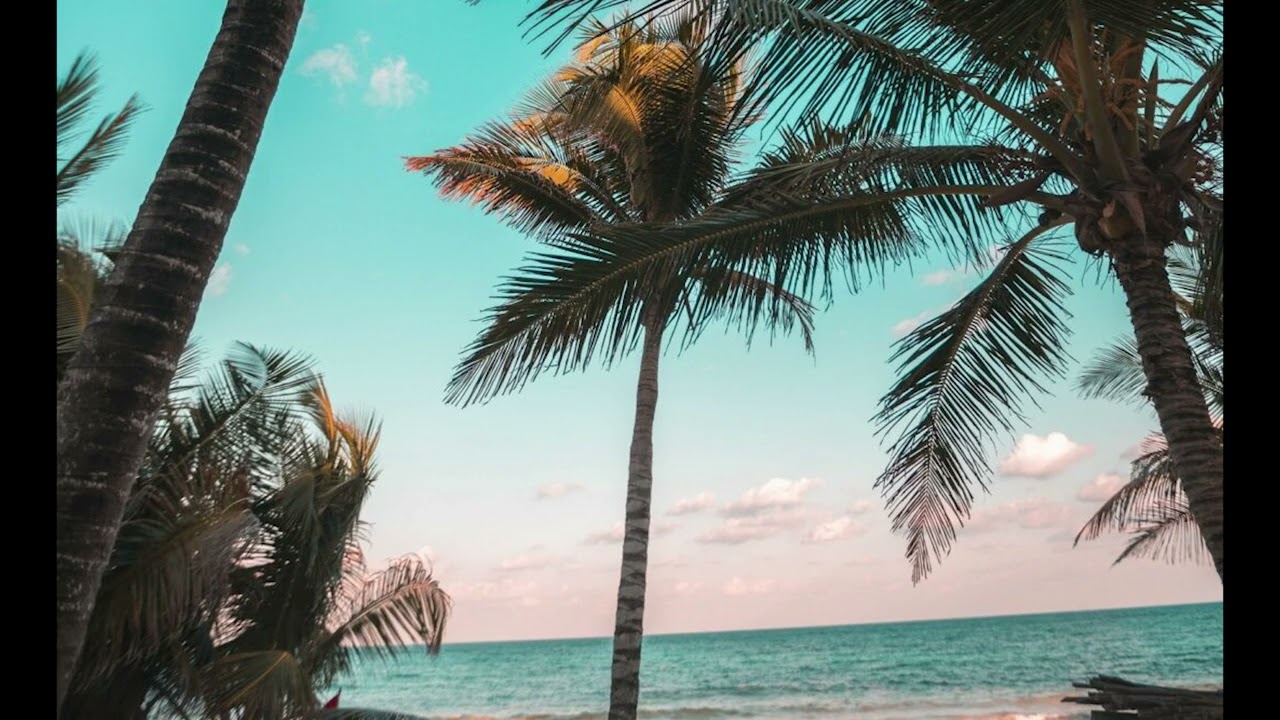 [FREE] RELAXING Beach Beat - 