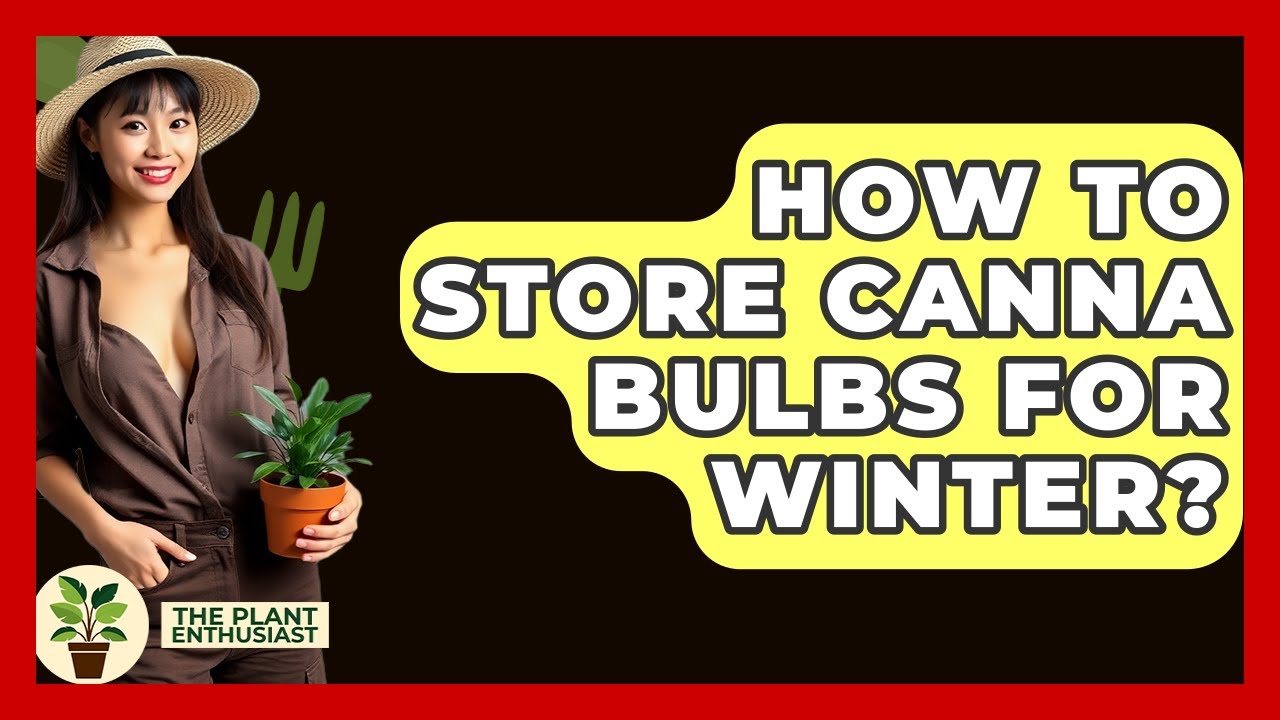 How To Store Canna Bulbs For Winter? - The Plant Enthusiast