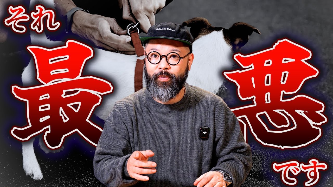 もうハーネスは使わないで下さい。衝撃の事実を伝えます。