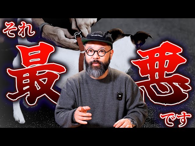 Don't use the harness anymore. Here's a shocking truth. - YouTube