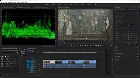 How to adjust contrast, shadows, and highlights  Adobe Premiere Pro tutorials 1
