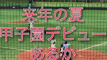 神戸中央リトルシニア 神戸中央リトルシニア