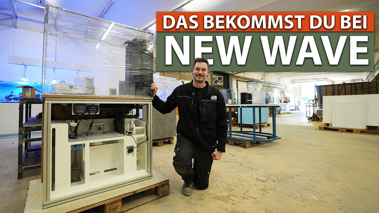 BEVOR DU EIN AQUARIUM BAUEN LÄSST, SIEH DIR DAS AN - New Wave