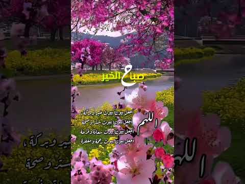 اللهم أجعل بيوتنا بيوت خير وبركة صباح الخير