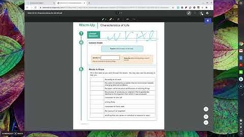 Annotate a PDF on Chromebook