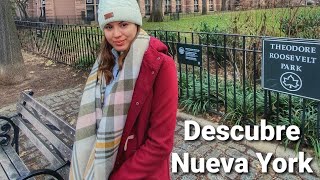 Nueva York en Navidad