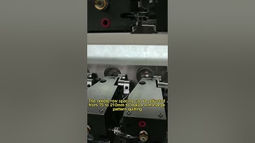 Richpeace L1500 High-speed Multi-needle Quilting Machine