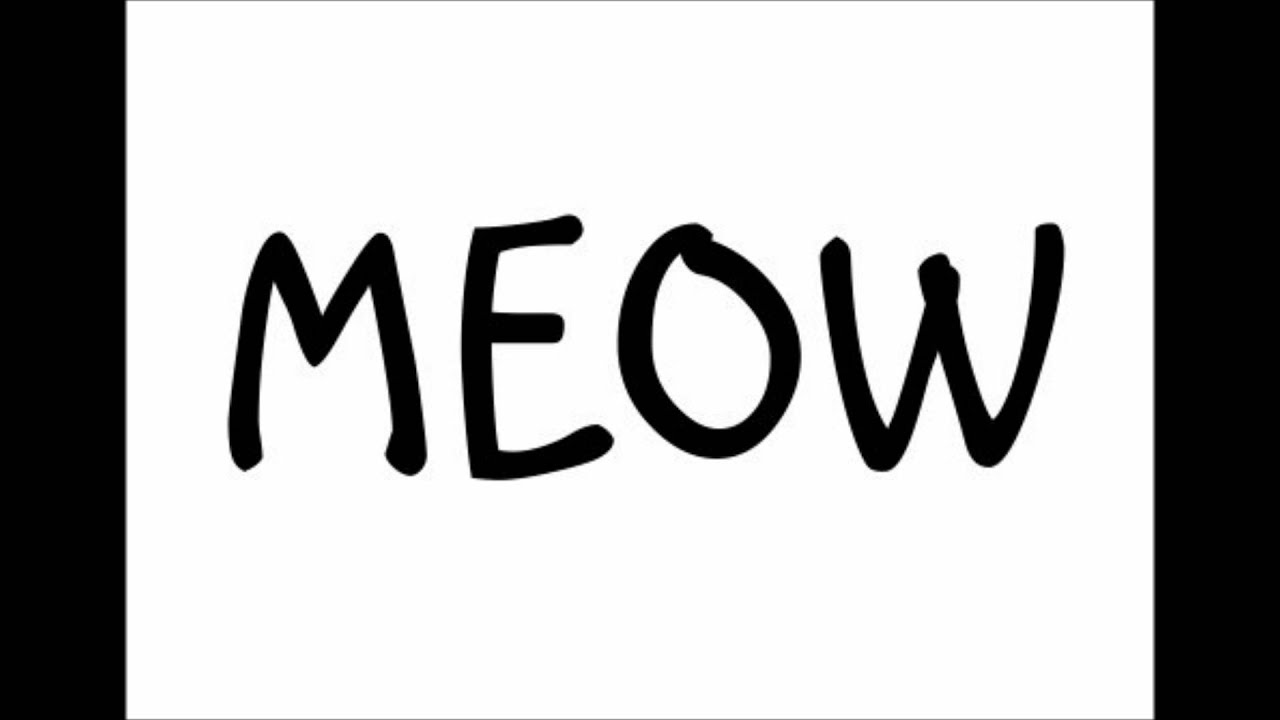 Meow Знакомства Отзывы