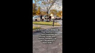 CAUGHT ON CAMERA: 2 juveniles break senior citizens' car windows in Cleveland