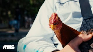 Download lagu SSMAEL - MOULA WE ft @Mabé.243 (Video Oficial)
