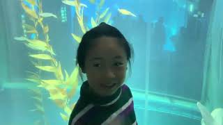 คุณไออุ่นพาเที่ยวพิพิธภัณฑ์สัตว์น้ำไคยูคัง (Osaka Aquarium Kaiyukan)ประเทศญี่ปุ่นค่ะ