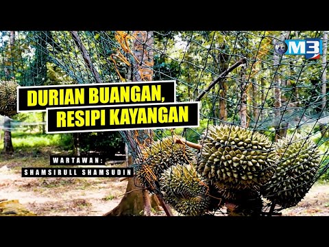 [FULL] Majalah 3 (2022) | 18 Jul - Durian Buangan, Resipi Kayangan