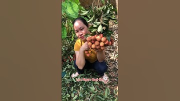 Vải thiều Lục Ngạn Quê Em 90 nghìn 1 cân