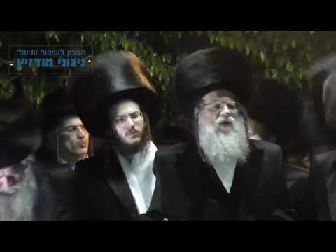 עו"ד דוד זעירא | שמחת בית מודז'יץ אדר ב' תשע"ט - ריקוד בחופה - חלק 1