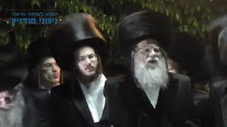 עו"ד דוד זעירא | שמחת בית מודז'יץ אדר ב' תשע"ט - ריקוד בחופה - חלק 1