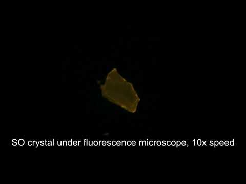 Crystal melting under fluorescence microscope
