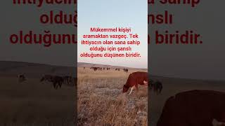 Nereye Gittiğini Bilmiyorsan, Hangi Yoldan Gittiğinin Hiçbir Önemi Yoktur. Resimi