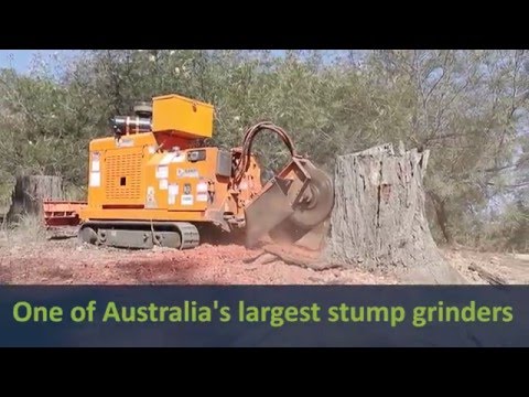 Stump Grinding demonstration by North Brisbane Trees using the Bandit 2990XP