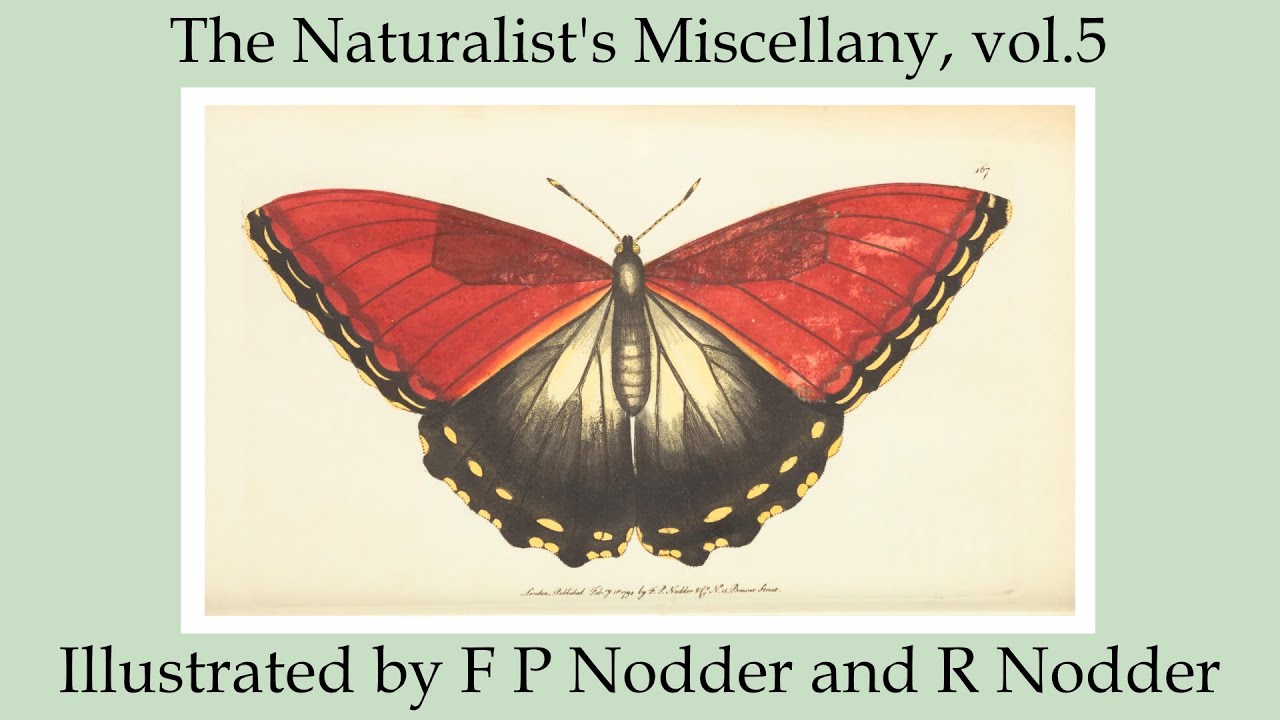 The Naturalist's Miscellany, Vol 5